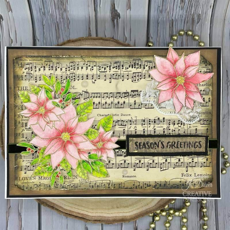 Creative Expressions Clear Stamps by Jane's Doodles- Poinsettia (6in x 8in)