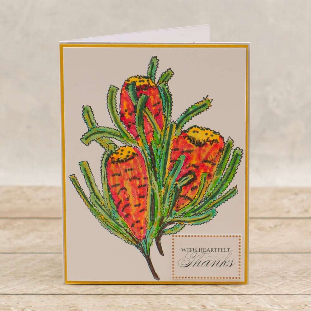 Couture Creations Stamp & Colour -  Charming Banksia Stamp Set (6pc)