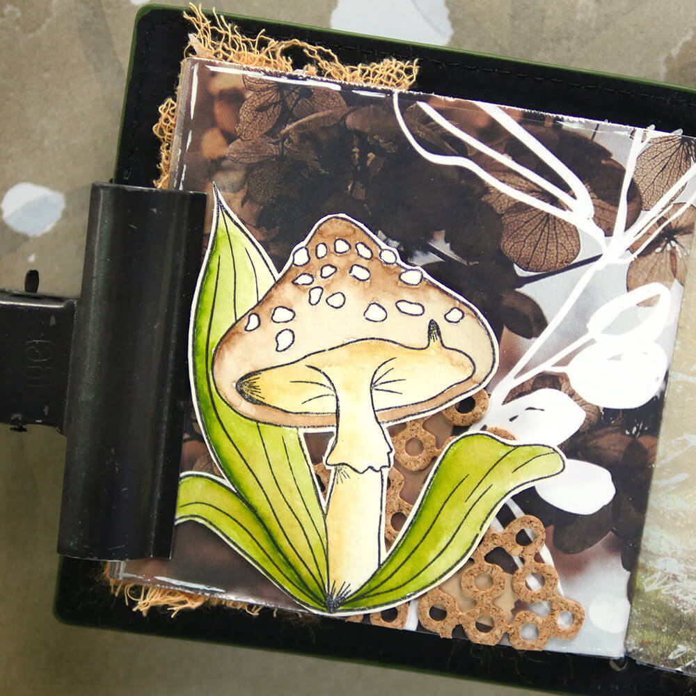 Elizabeth Craft Designs Clear Stamps - Mushroom Magic CS245