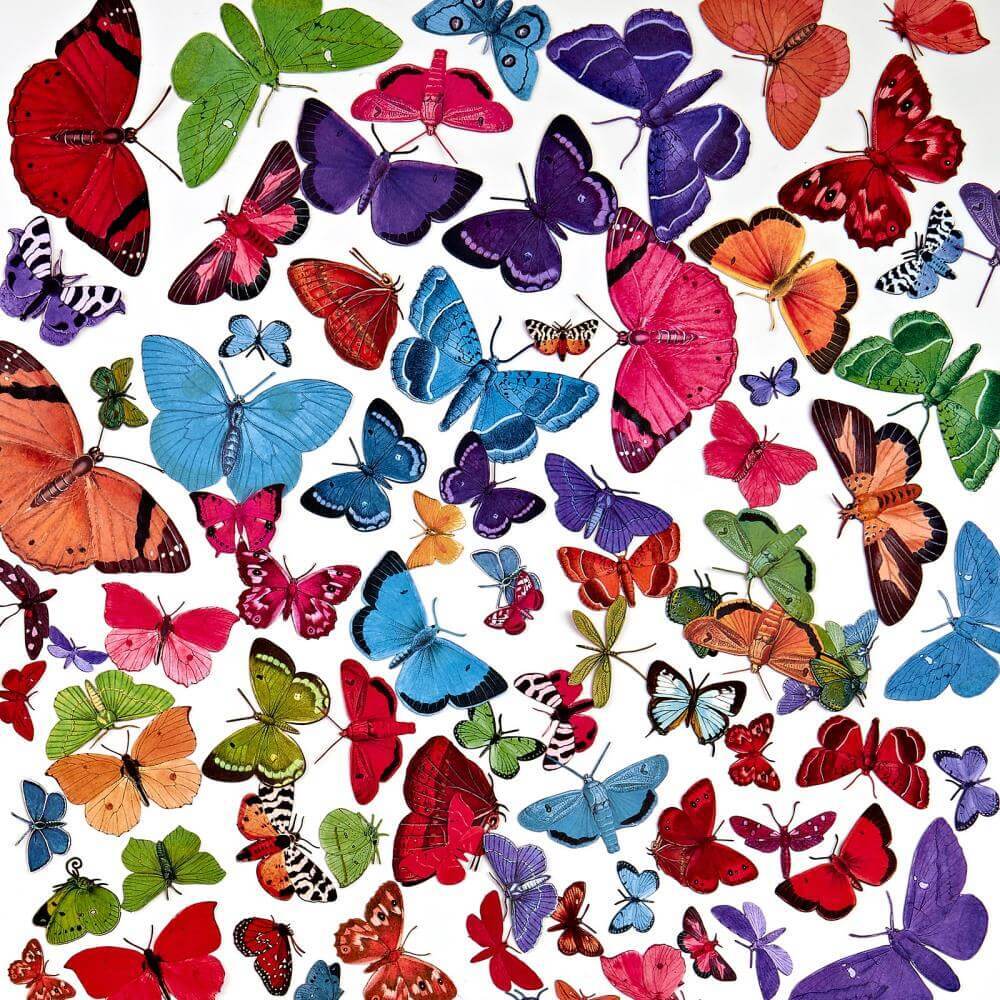 49 and Market Spectrum Gardenia Laser Cut Outs - Butterfly