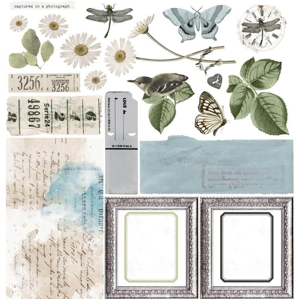 49 And Market Collection Pack 12"X12" - Vintage Artistry Moonlit Garden