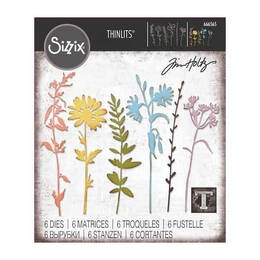 Sizzix Thinlits Dies 6/Pkg - Vault Wildflowers By Tim Holtz 666565