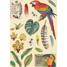 Stamperia Wooden Shapes A5 - Parrot, Amazonia KLSP095
