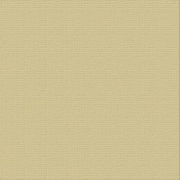 Ultimate Crafts Cardstock 12x12 Textured- Driftwood (250gsm)